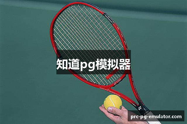 知道pg模拟器